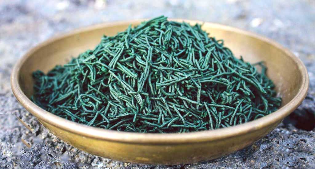 Bol-de-spiruline-en-brindilles